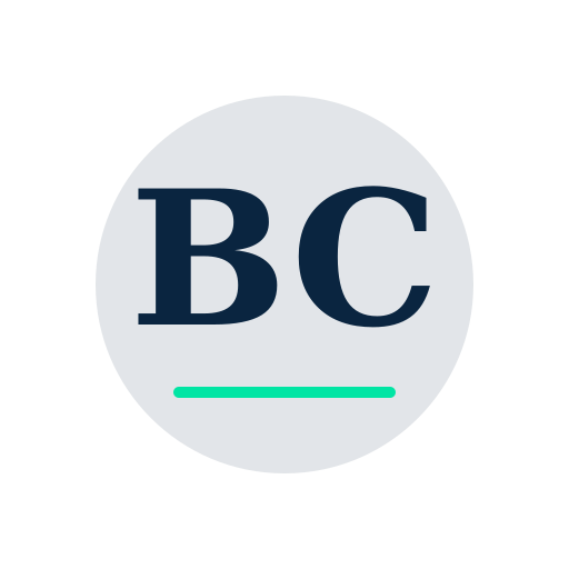 Black Chimney Services logo